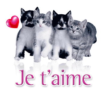je t aime