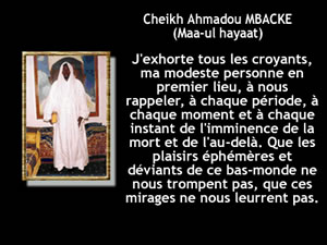 cheikh ahmadou maa-ul hayaat